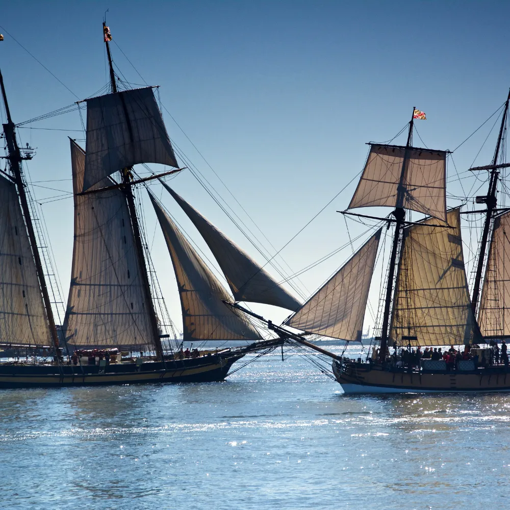 Maryland Fleet week flyover events schedule